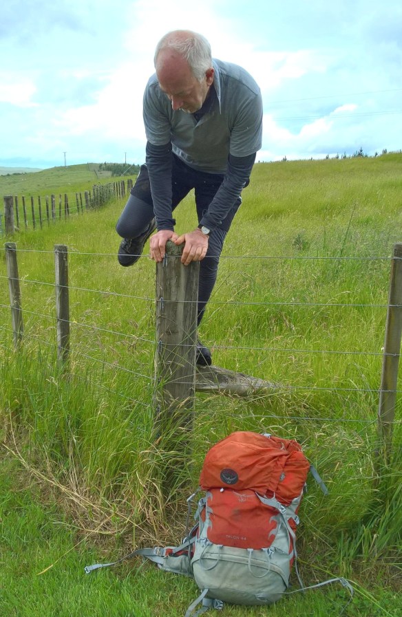 Better climb of fence