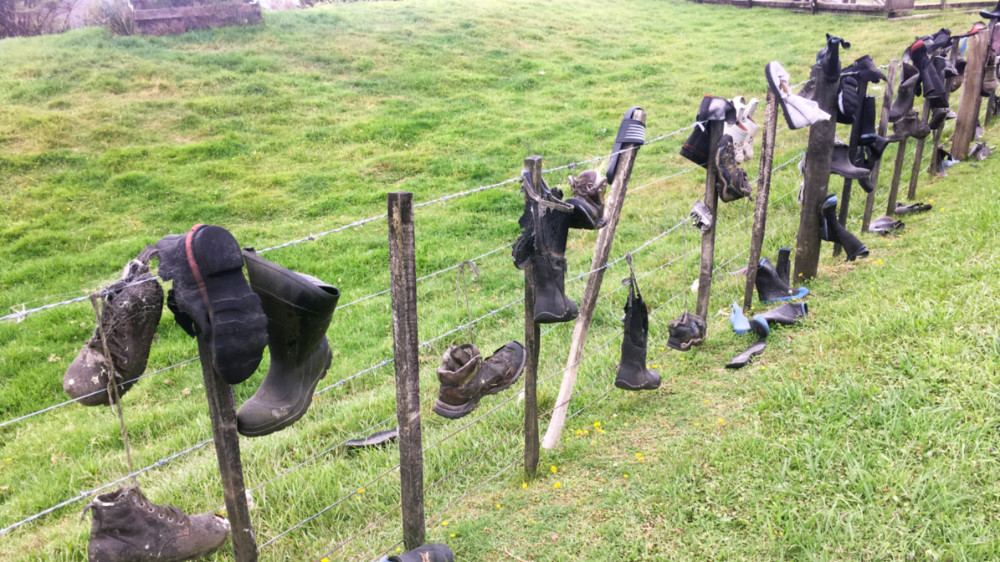 Gumboot fence, Govan Wilson Rd